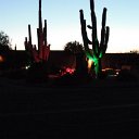 arizona from other cameras - DSCF1630